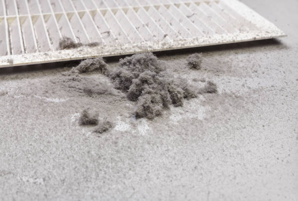 Best HVAC System Cleaning  in Nocona, TX